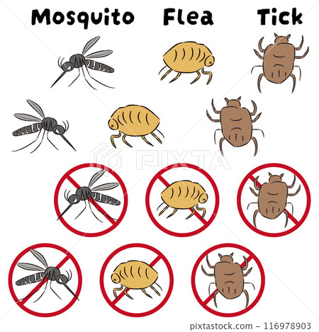 Pest insect (mosquito, flea, tick) illustration set 116978903