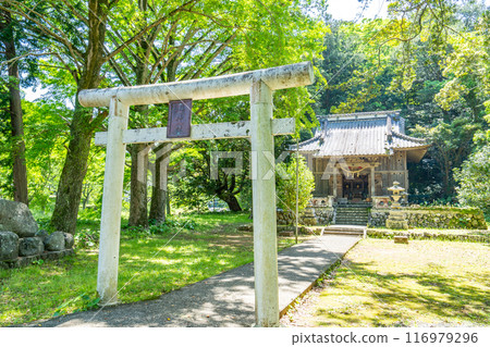 Mountain shrine Mountain shrine 116979296