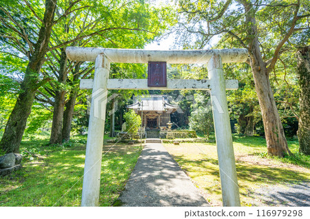 山神社 116979298