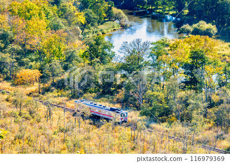 北海道釧路本線紀波54號，穿越初秋的釧路濕地～從夢丘展望台出發～ 116979369