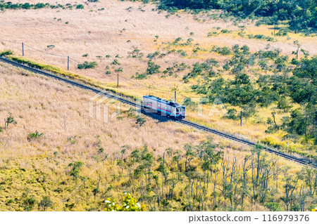 Hokkaido Senmo Main Line: Kiha 54 travelling through the Kushiro Marshlands in early autumn - From Yumegaoka Observatory Hokkaido Senmo Main Line: Kiha 54 travelling through the Kushiro Marshlands in early autumn - From Yumegaoka Observatory 116979376