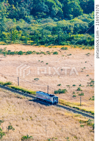 Hokkaido Senmo Main Line: Kiha 54 travelling through the Kushiro Marshlands in early autumn - From Yumegaoka Observatory 116979378