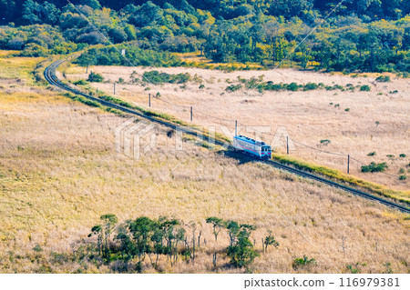 Hokkaido Senmo Main Line: Kiha 54 travelling through the Kushiro Marshlands in early autumn - From Yumegaoka Observatory 116979381