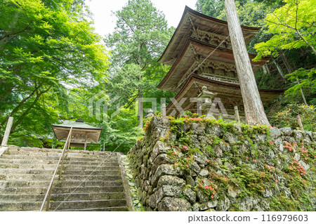 岐阜縣揖斐川町，西美濃三十三聖地第一寺橫藏寺的鮮綠色三層塔 116979603