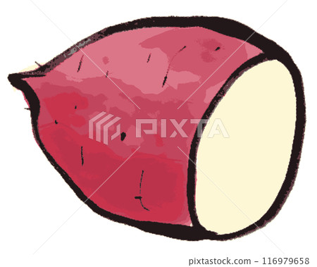 Simple sweet potato illustration drawn in ink Simple sweet potato illustration drawn in ink 116979658