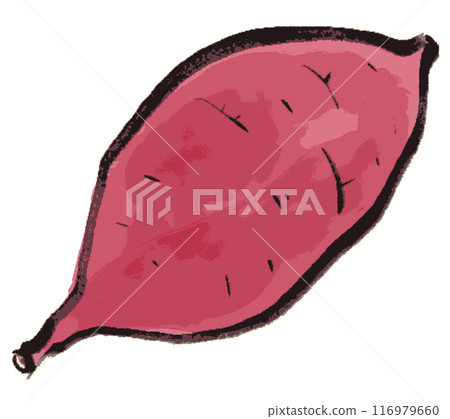 用墨水繪製的簡單紅薯插圖 116979660
