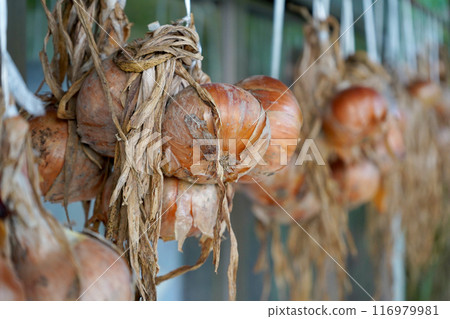 日本房子裡掛洋蔥 116979981