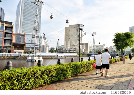 沿著港未來鐵道散步的情侶 沿著港未來鐵道散步的情侶 116980099