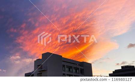 夕陽染紅雲彩 夕陽染紅雲彩 116980127