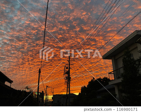 Sunset seen from a residential area 116980171