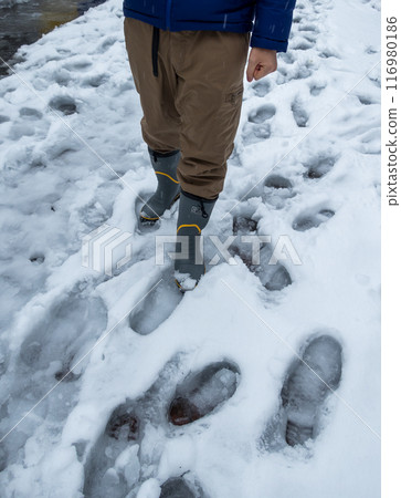 Cold winter image 116980186