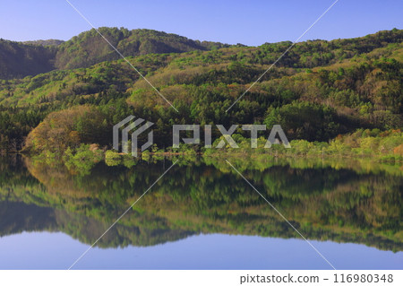 岩手縣奧州市奧州湖 岩手縣奧州市奧州湖 116980348