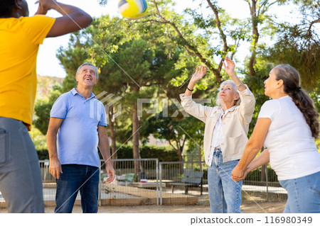 Happy mature people playing volleyball in summer park 116980349