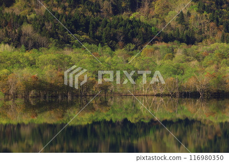 Lake Oshu in Oshu City, Iwate Prefecture 116980350