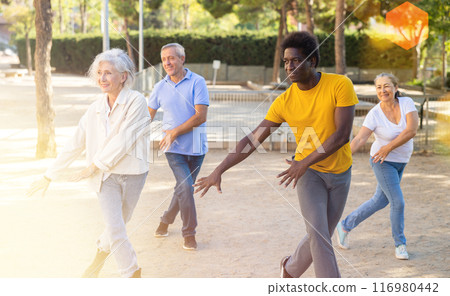 A group of multiracial mature adult people doing outdoor workout in a park 116980442