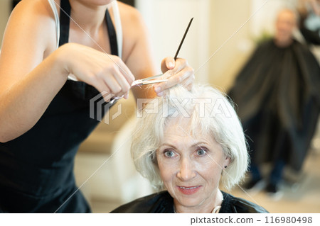 Senior gray-haired female client getting haircut in hairdressing salon 116980498