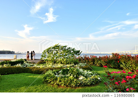 Women taking a commemorative photo facing the sea at Yamashita Park in Yokohama Women taking a commemorative photo facing the sea at Yamashita Park in Yokohama 116980865
