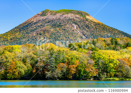 Hokkaido: Autumn foliage of Mount Oakan and Lake Akan 116980994