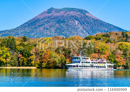 北海道、阿寒山、阿寒湖的秋葉 116980999