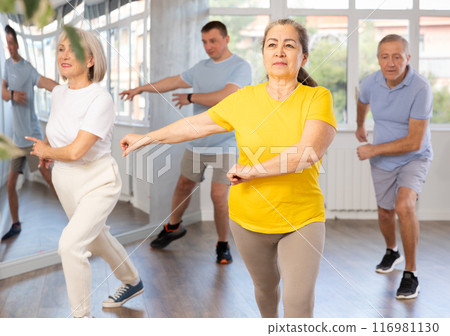 Portrait of active mature people enjoying modern energetic dancing in a group in studio 116981130