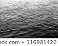 Water in river. 116981420