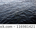 Water in river. 116981421