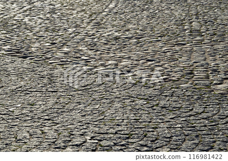 Paving stones. Paving stones. 116981422