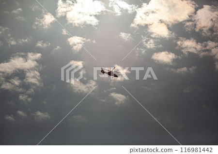 Helicopter flying in the sky 116981442