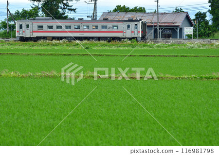 A train stops at Kitaichi Station in the countryside. 116981798