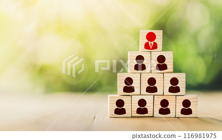 Human resource management and recruitment business concept. Leadership and corporate hierarchy concept, A complete team that consists of icon many people. 116981975