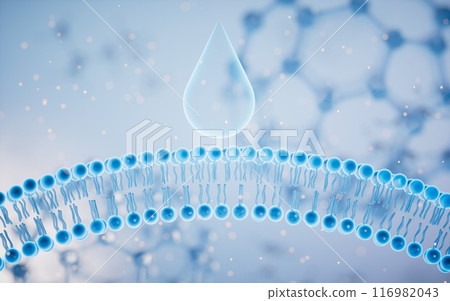 Cell membrane with blue background, 3d rendering. Cell membrane with blue background, 3d rendering. 116982043