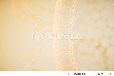 Cell membrane with yellow background, 3d Cell membrane with yellow background, 3d 116982044