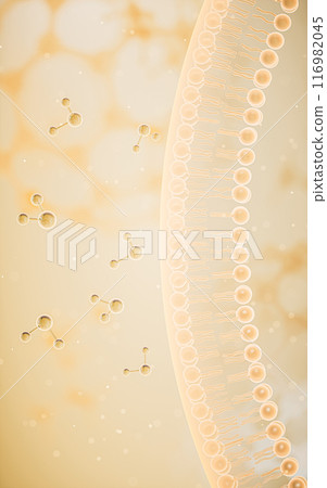 Cell membrane with yellow background, 3d 116982045