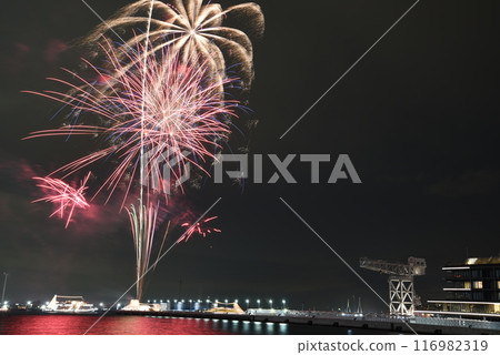 著色夏夜天空的煙花 116982319