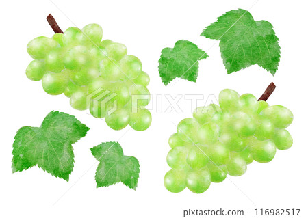 閃耀馬斯喀特 116982517