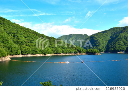 Kawaji Dam Dam Lake 116982920
