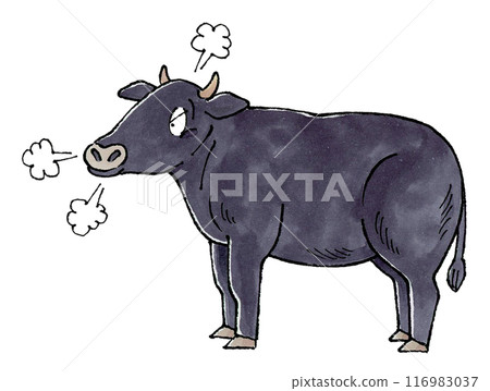 Angry Black Bull Angry Black Bull 116983037