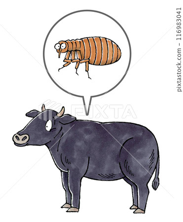 Black Cow and Flea Black Cow and Flea 116983041
