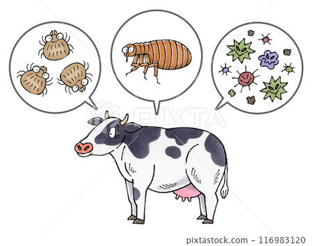Dairy cows and parasites (ticks, fleas, pathogens) Dairy cows and parasites (ticks, fleas, pathogens) 116983120