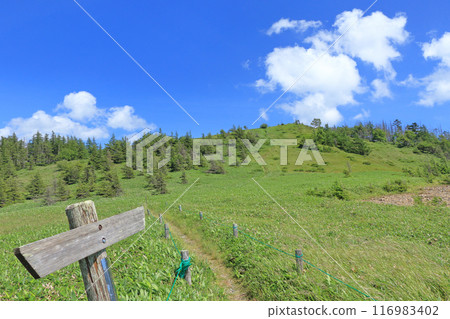 Utsukushigahara Highlands Long Trail: Takeishimine 116983402