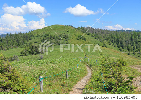 Utsukushigahara Highlands Long Trail: Takeishimine 116983405