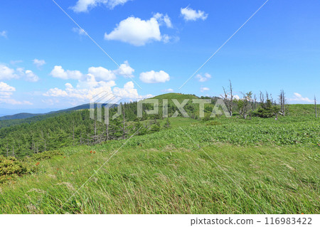Utsukushigahara Highlands Long Trail: Takeishimine Utsukushigahara Highlands Long Trail: Takeishimine 116983422