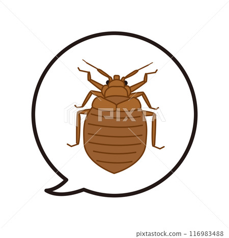 Illustration of a bedbug in a speech bubble 116983488