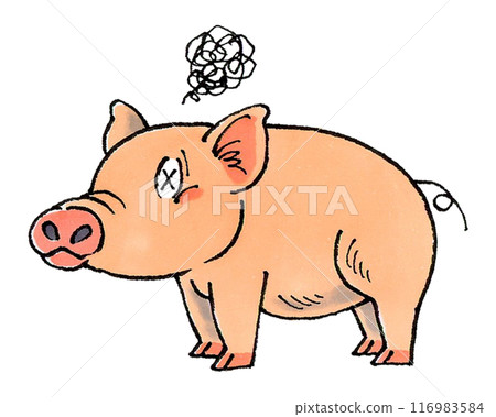 Pig 116983584