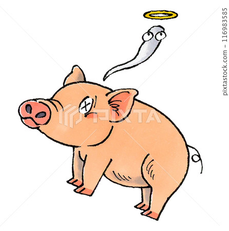 Dead pig 116983585
