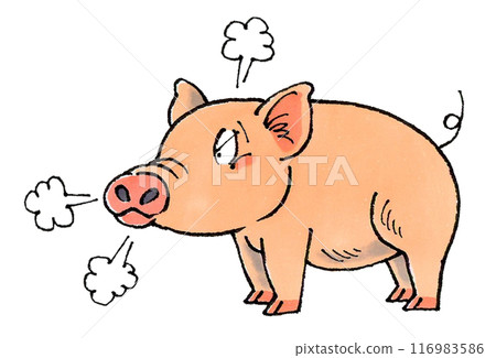 Angry Pig Angry Pig 116983586