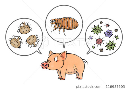 Pigs and parasites (ticks, fleas, pathogens) 116983603