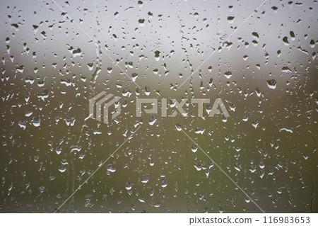 Window glass surface covered by water droplets 116983653