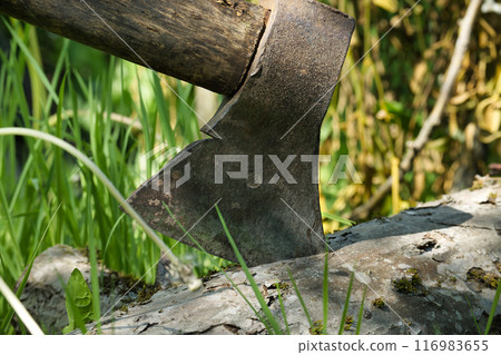 Close-up of an axe embedded in wood surrounded by green grass Close-up of an axe embedded in wood surrounded by green grass 116983655