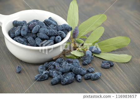 White bowl filled with Honeyberry haskap berries on wooden table White bowl filled with Honeyberry haskap berries on wooden table 116983657